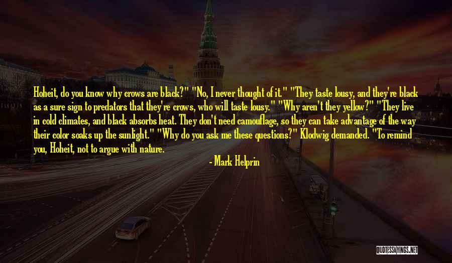 Why Do You Need Me Quotes By Mark Helprin Why Do You Need Me Quotes By Mark Helprin