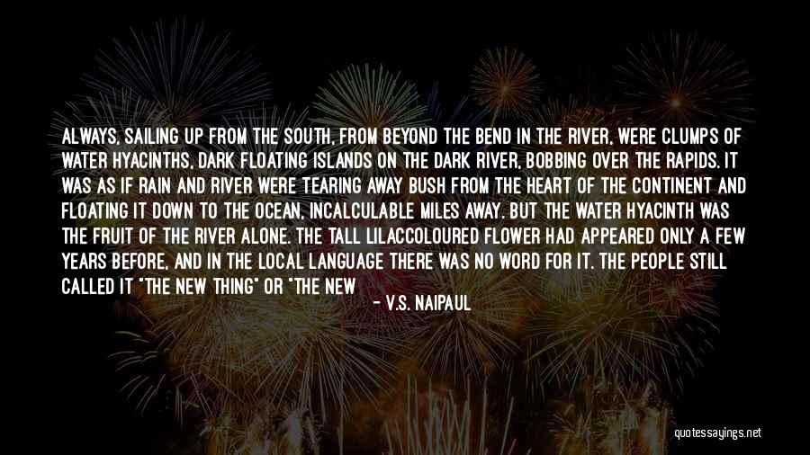 Why Does It Always Rain On Me Quotes By V.S. Naipaul