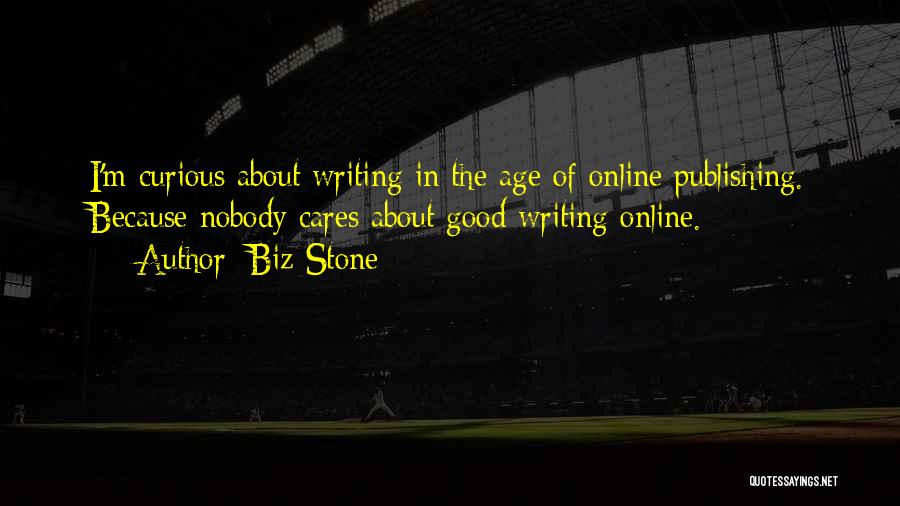 Why Does Nobody Care About Me Quotes By Biz Stone