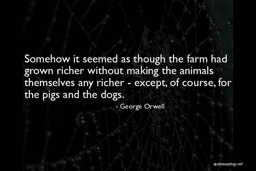 Why Dogs Are The Best Quotes By George Orwell Why Dogs Are The Best Quotes By George Orwell