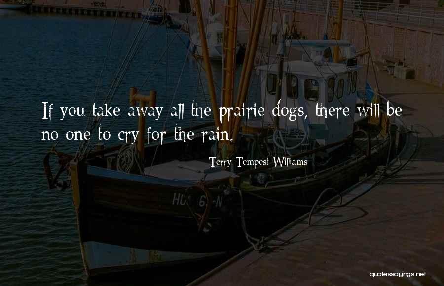 Why Dogs Are The Best Quotes By Terry Tempest Williams Why Dogs Are The Best Quotes By Terry Tempest Williams