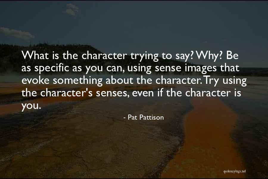 Why Even Try Quotes By Pat Pattison Why Even Try Quotes By Pat Pattison