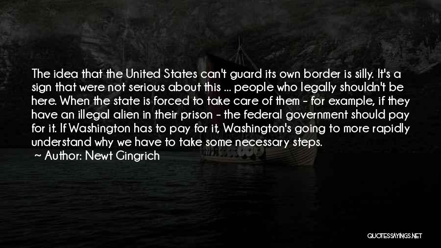 Why Government Is Necessary Quotes By Newt Gingrich