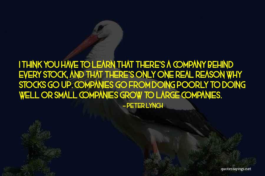 Why Grow Up Quotes By Peter Lynch Why Grow Up Quotes By Peter Lynch