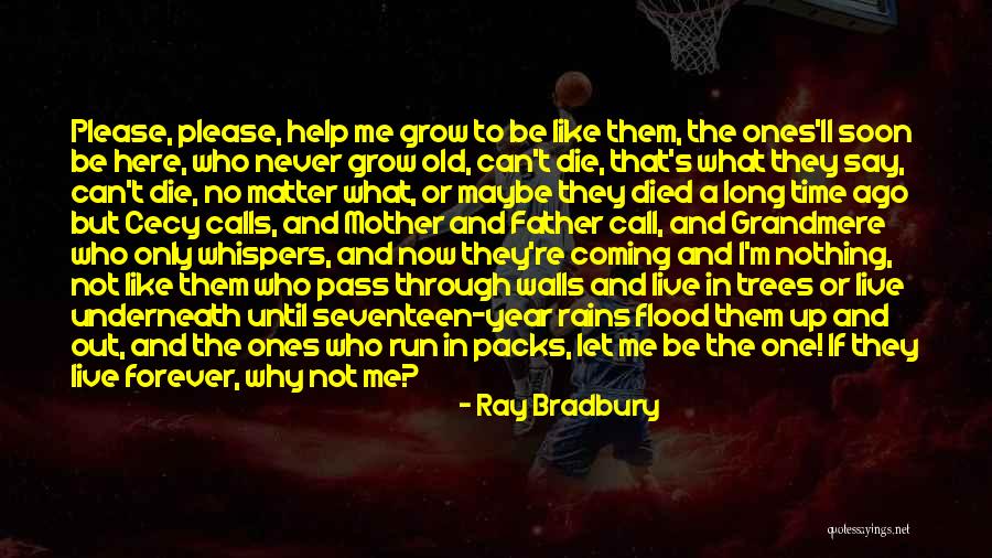 Why Grow Up Quotes By Ray Bradbury Why Grow Up Quotes By Ray Bradbury