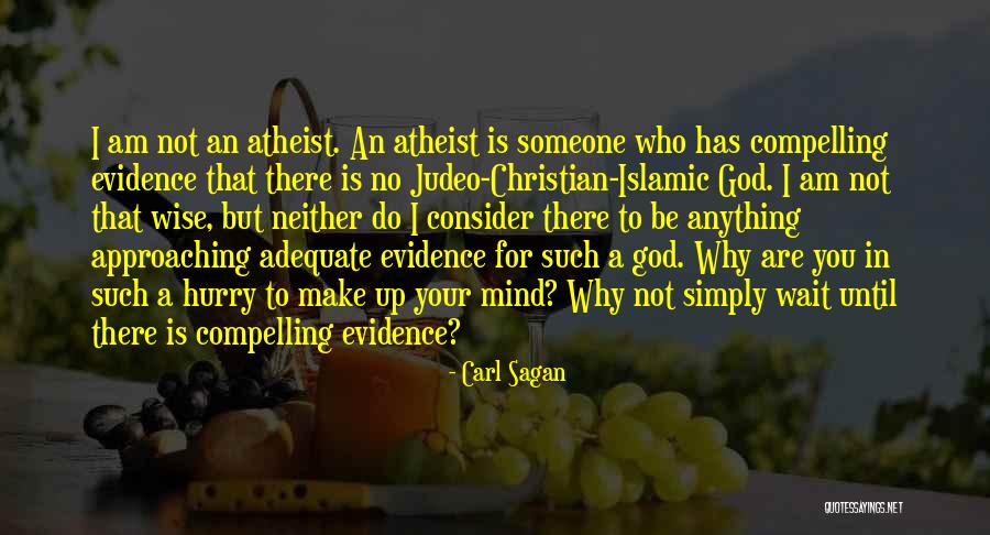 Why I Am An Atheist Quotes By Carl Sagan Why I Am An Atheist Quotes By Carl Sagan