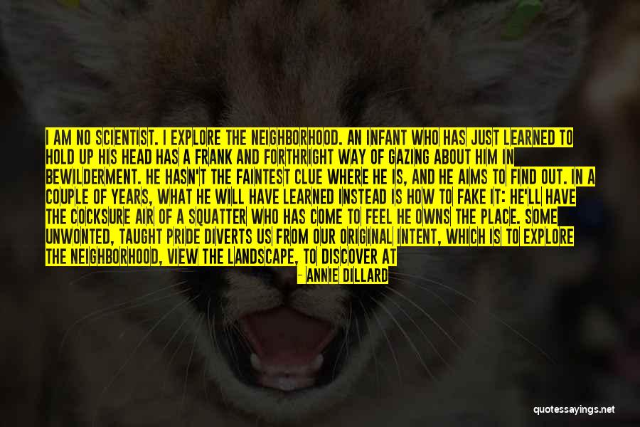 Why I Am The Way I Am Quotes By Annie Dillard