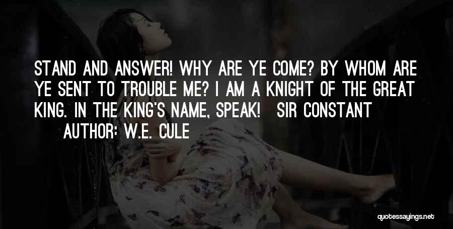 Why I Am The Way I Am Quotes By W.E. Cule