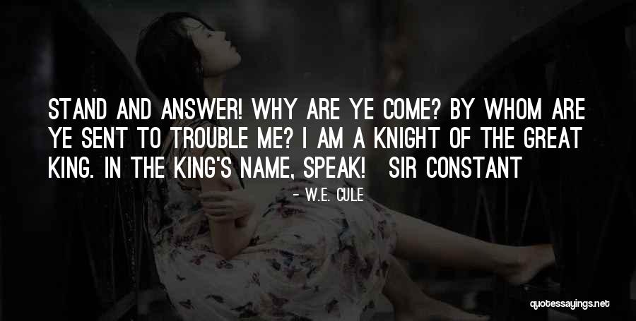 Why I Am The Way I Am Quotes By W.E. Cule