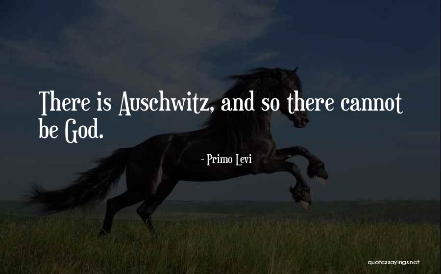 Why I M An Atheist Quotes By Primo Levi