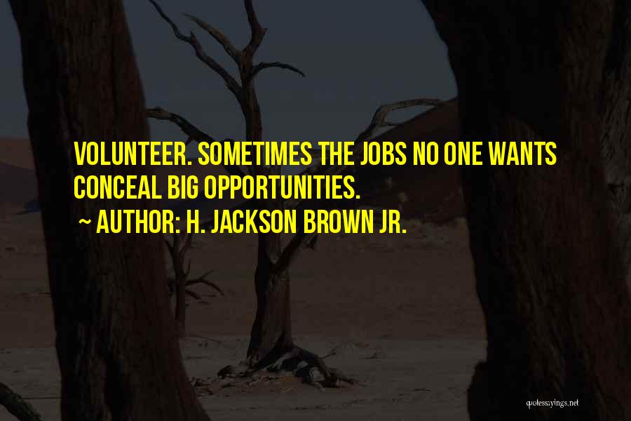 Why I Volunteer Quotes By H. Jackson Brown Jr.