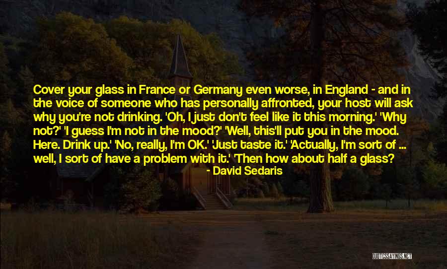 Why I'm Here Quotes By David Sedaris