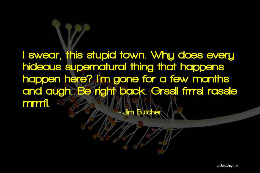 Why I'm Here Quotes By Jim Butcher