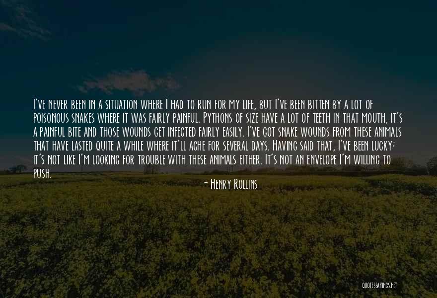 Why Is Life So Painful Quotes By Henry Rollins Why Is Life So Painful Quotes By Henry Rollins