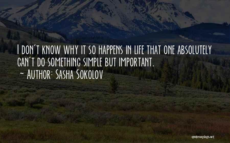 Why It Happens Quotes By Sasha Sokolov