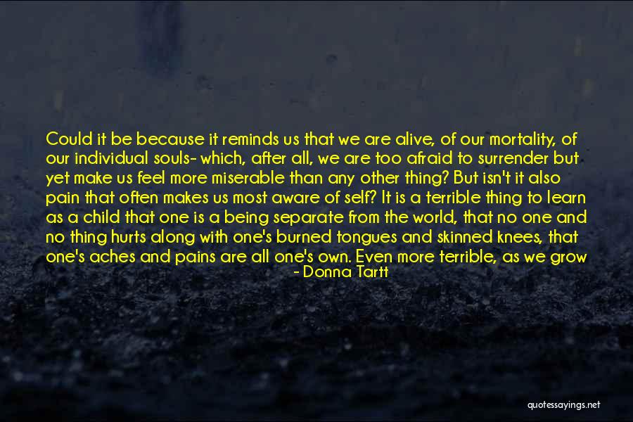 Why It Hurts Quotes By Donna Tartt Why It Hurts Quotes By Donna Tartt