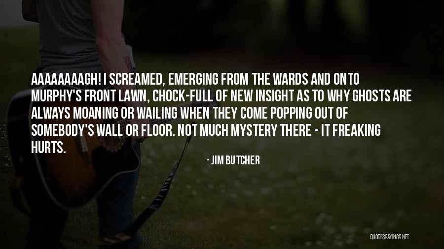 Why It Hurts Quotes By Jim Butcher Why It Hurts Quotes By Jim Butcher