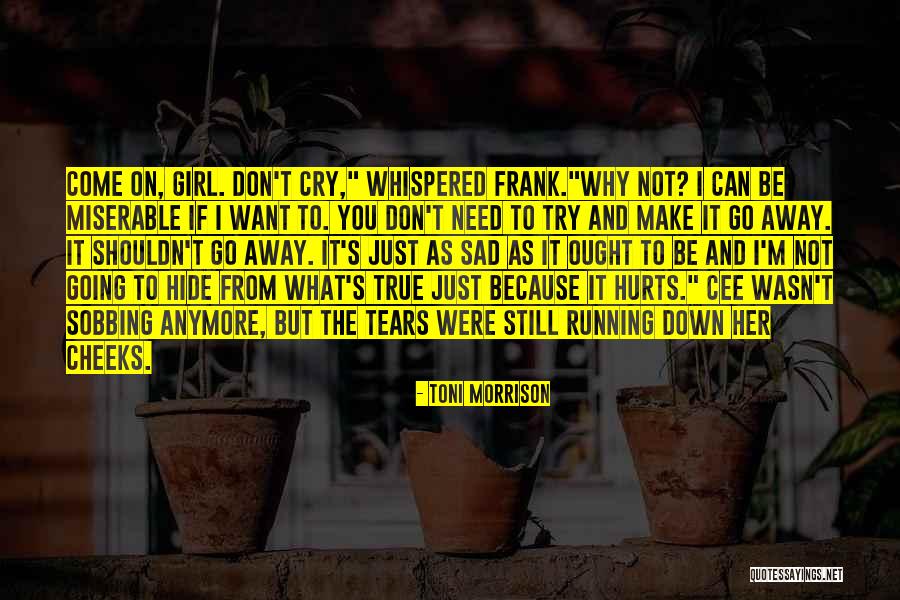 Why It Hurts Quotes By Toni Morrison Why It Hurts Quotes By Toni Morrison