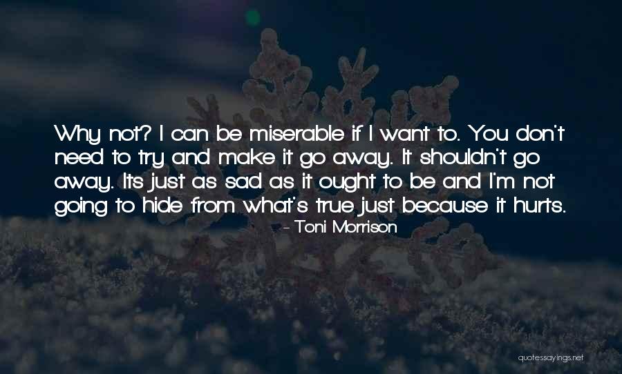 Why It Hurts Quotes By Toni Morrison Why It Hurts Quotes By Toni Morrison