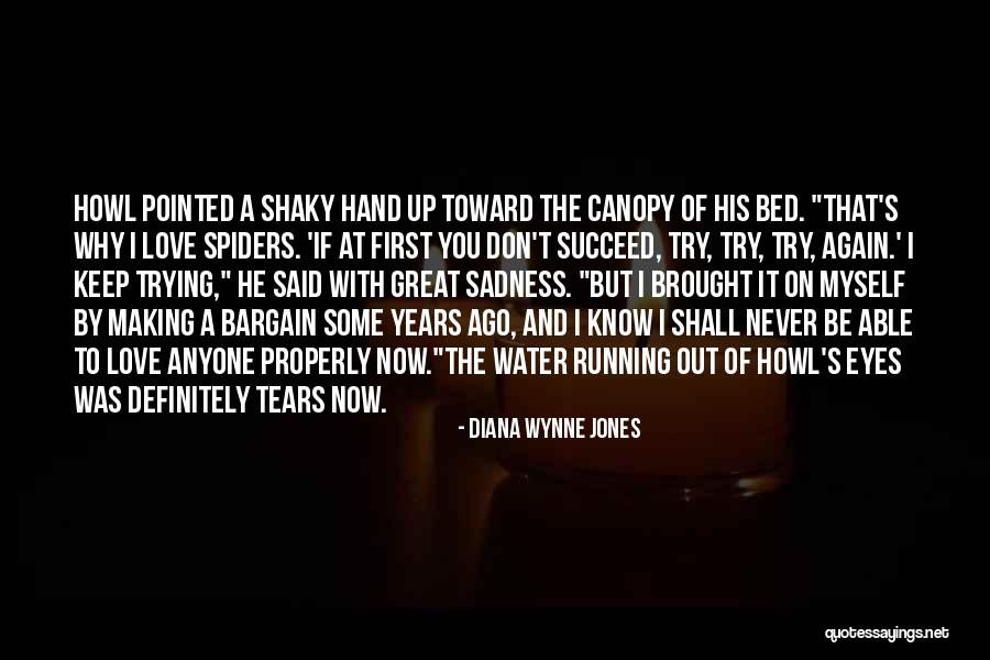 Why Keep Trying Quotes By Diana Wynne Jones Why Keep Trying Quotes By Diana Wynne Jones