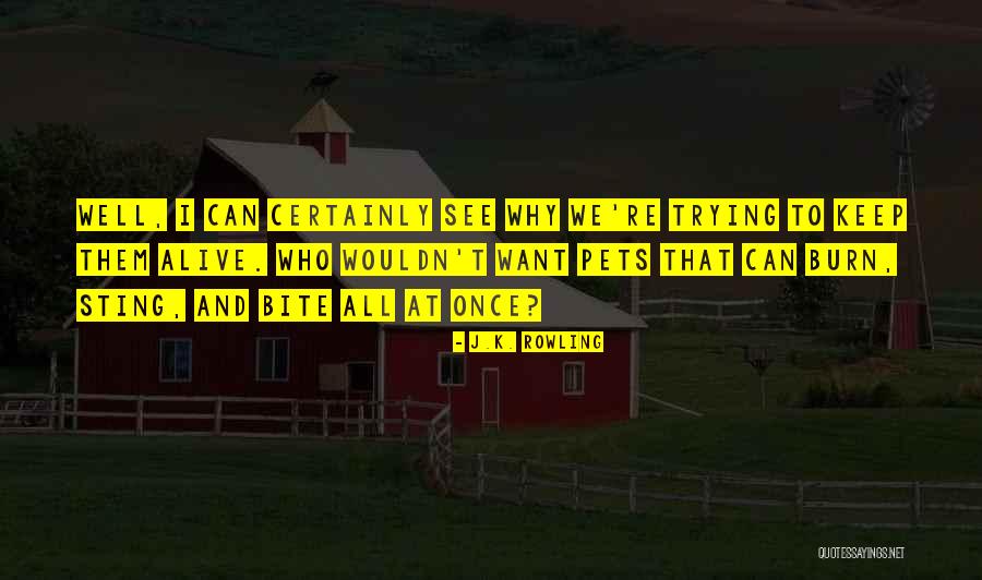 Why Keep Trying Quotes By J.K. Rowling Why Keep Trying Quotes By J.K. Rowling
