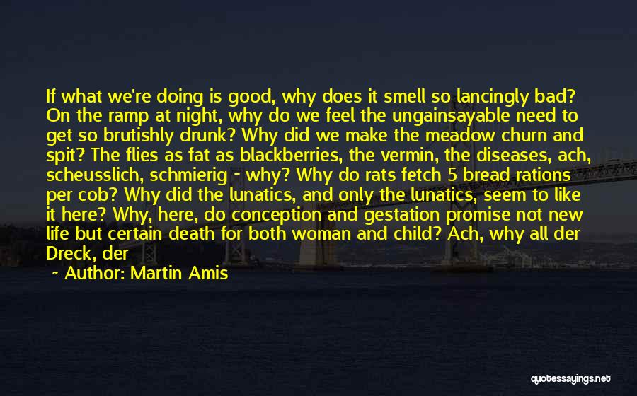 Why Life Is Good Quotes By Martin Amis