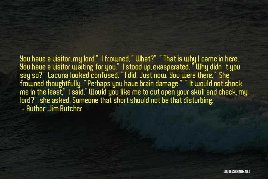 Why Me Lord Quotes By Jim Butcher