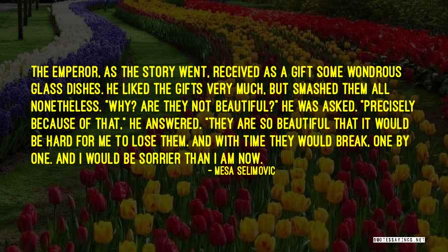 Why Not Now Quotes By Mesa Selimovic Why Not Now Quotes By Mesa Selimovic