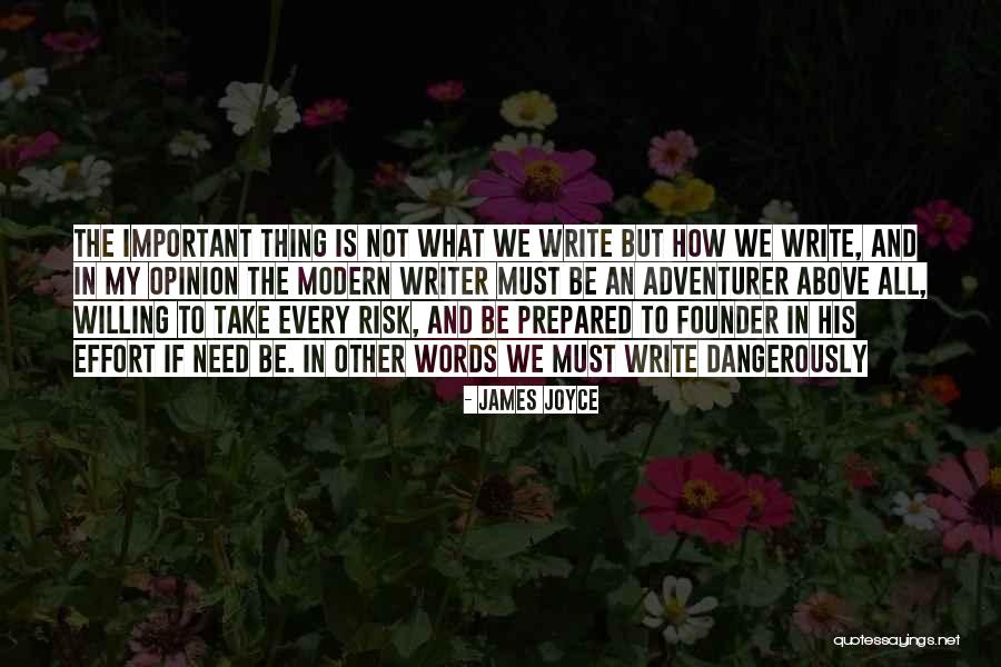 Why Not Take A Risk Quotes By James Joyce