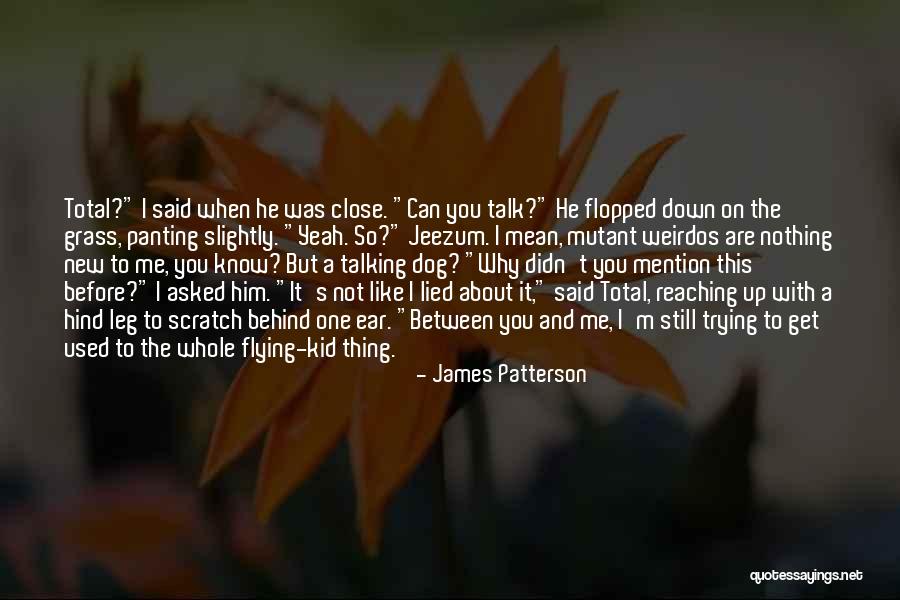 Why Not Talking To Me Quotes By James Patterson Why Not Talking To Me Quotes By James Patterson