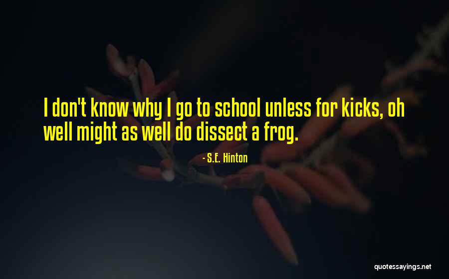 Why Oh Why Quotes By S.E. Hinton Why Oh Why Quotes By S.E. Hinton