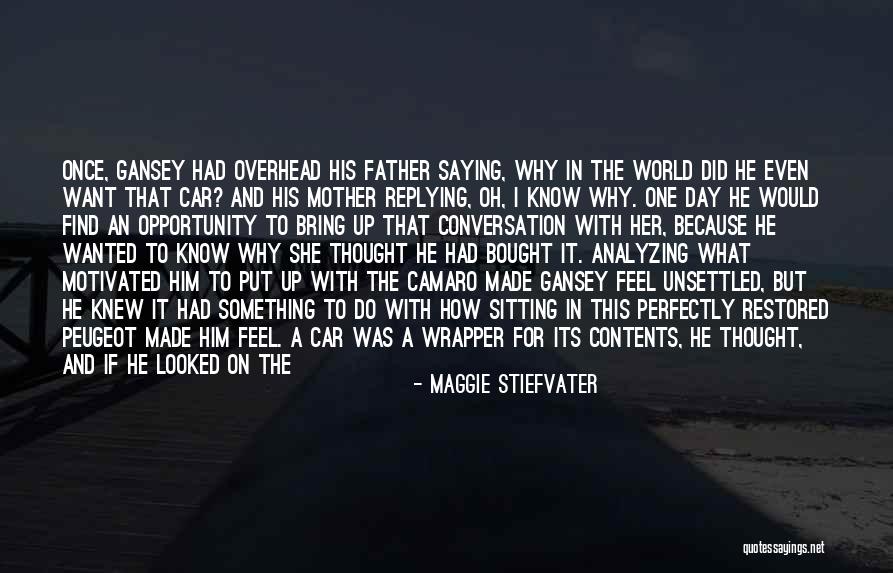 Why R U Not Replying Quotes By Maggie Stiefvater Why R U Not Replying Quotes By Maggie Stiefvater