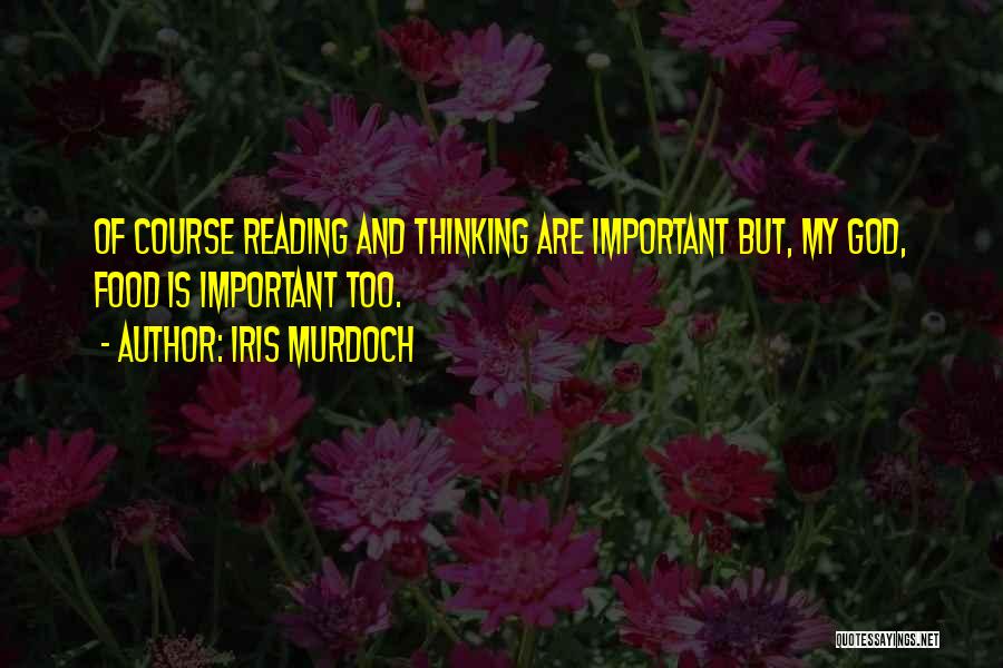 Why Reading Is So Important Quotes By Iris Murdoch