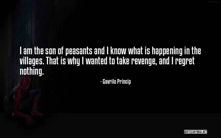 Why Regret Quotes By Gavrilo Princip Why Regret Quotes By Gavrilo Princip