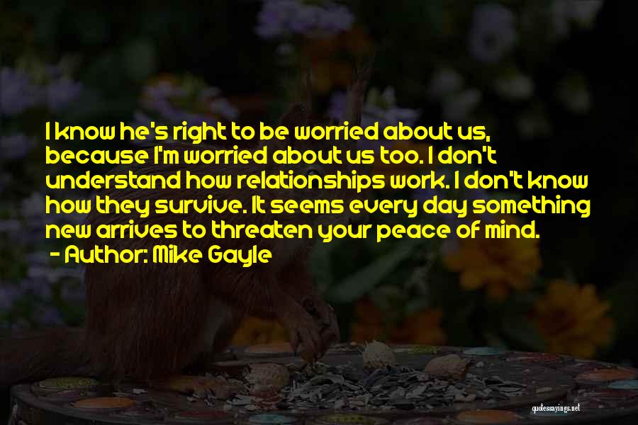 Why Relationships Don't Work Quotes By Mike Gayle