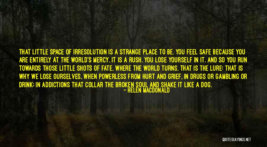 Why Rush Quotes By Helen Macdonald Why Rush Quotes By Helen Macdonald