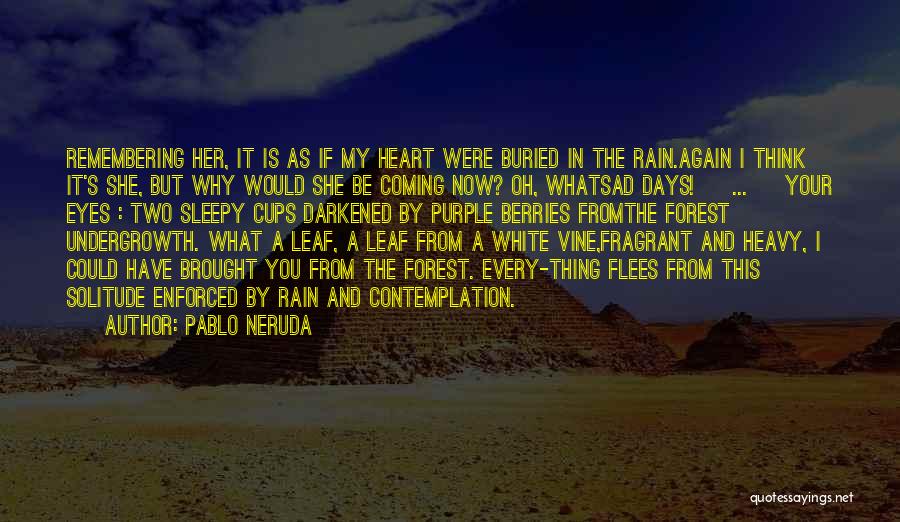 Why Sad Quotes By Pablo Neruda