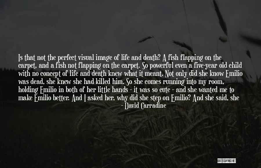 Why She Is Perfect Quotes By David Carradine