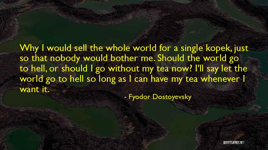 Why Should I Bother Quotes By Fyodor Dostoyevsky