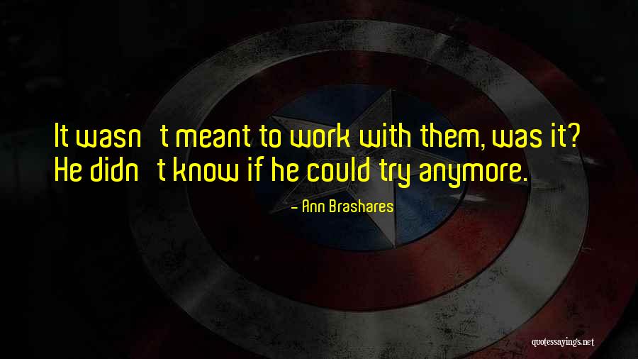 Why Should I Try Anymore Quotes By Ann Brashares Why Should I Try Anymore Quotes By Ann Brashares