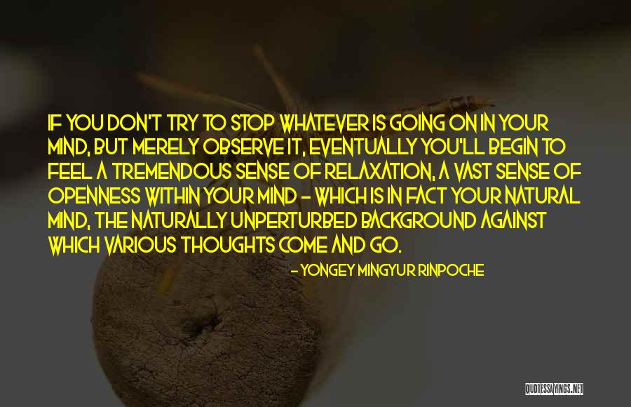 Why Should I Try If You Don't Quotes By Yongey Mingyur Rinpoche Why Should I Try If You Don't Quotes By Yongey Mingyur Rinpoche
