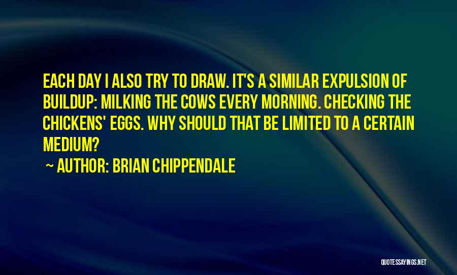 Why Should I Try Quotes By Brian Chippendale