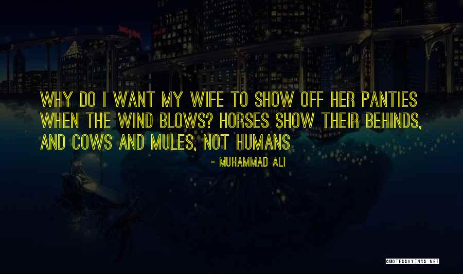 Why Show Off Quotes By Muhammad Ali Why Show Off Quotes By Muhammad Ali