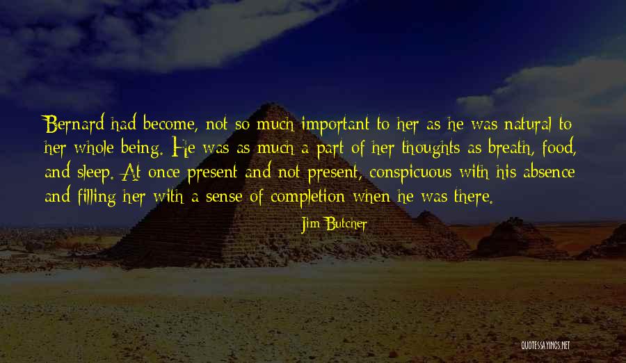 Why Sleep Is Important Quotes By Jim Butcher Why Sleep Is Important Quotes By Jim Butcher