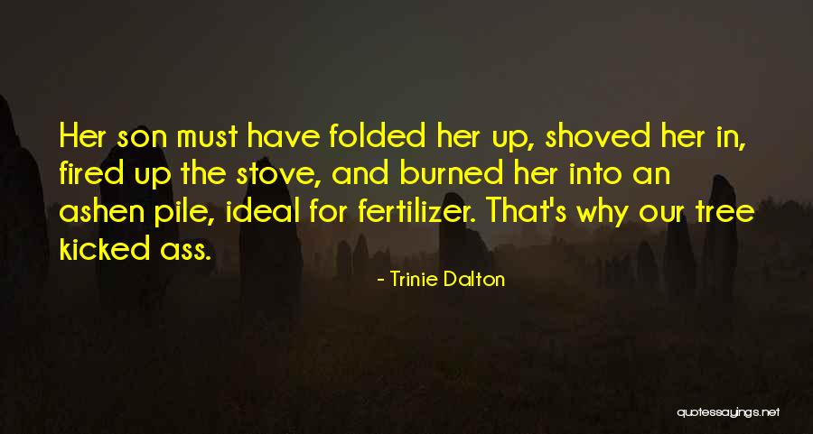 Why Son Quotes By Trinie Dalton Why Son Quotes By Trinie Dalton