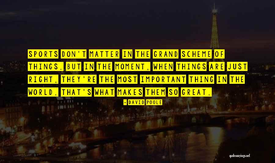 Why Sports Matter Quotes By David Poole Why Sports Matter Quotes By David Poole