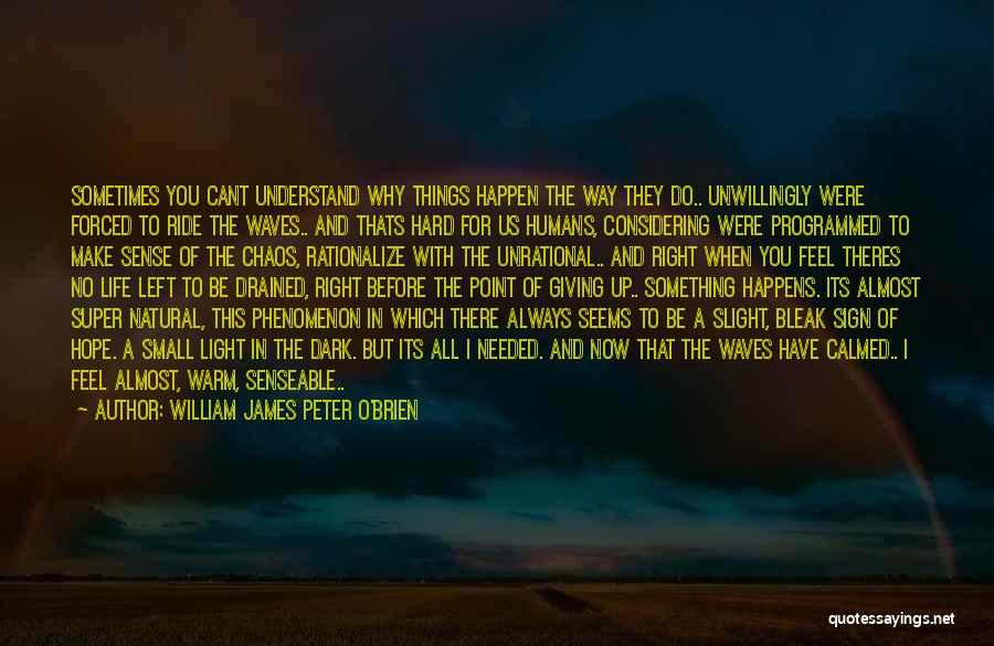 Why Things Happen The Way They Do Quotes By William James Peter O'Brien