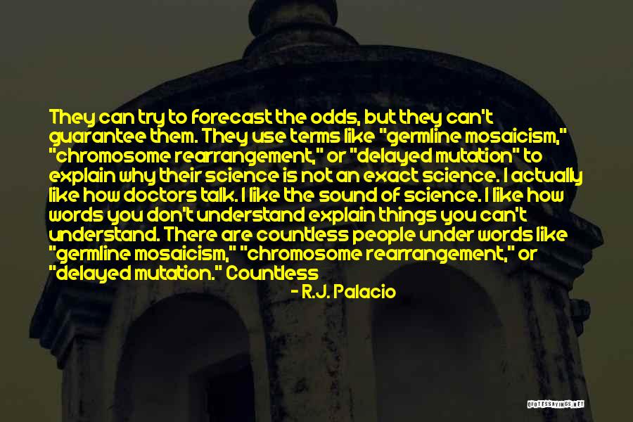 Why Try To Explain Quotes By R.J. Palacio Why Try To Explain Quotes By R.J. Palacio