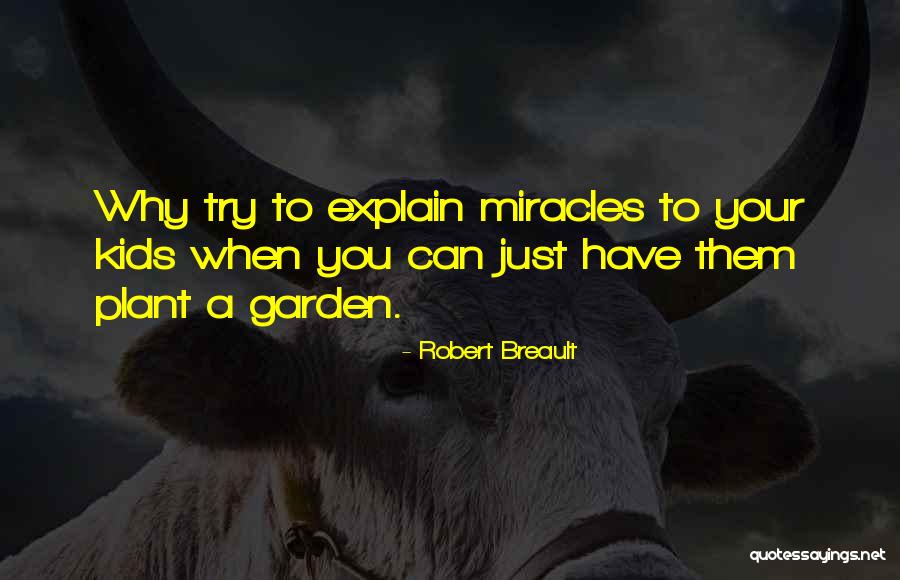 Why Try To Explain Quotes By Robert Breault Why Try To Explain Quotes By Robert Breault