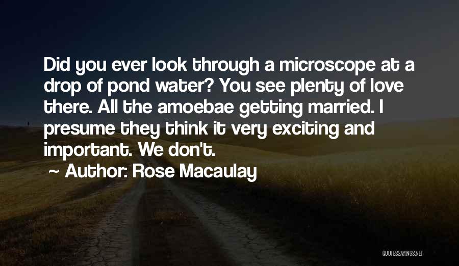 Why Water Is Important Quotes By Rose Macaulay